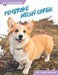 Pembroke Welsh Corgis (Dog Breeds Series