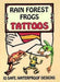 Rain Forest Frogs Tattoos