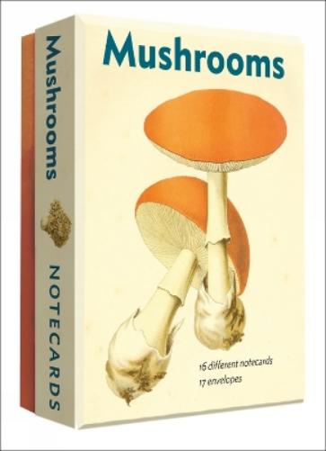 Mushrooms - Notecard Set