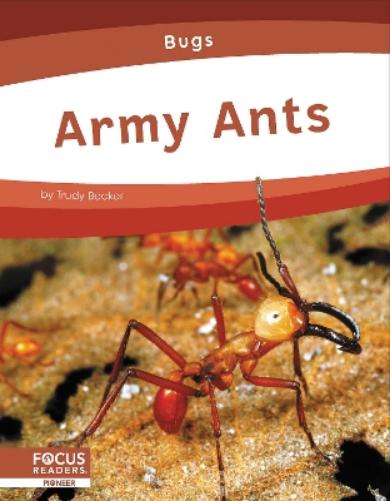 Army Ants (Bugs
