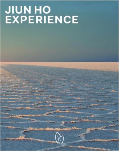 Jiun Ho: Experience