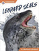 Leopard Seals