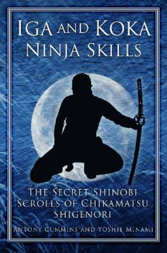 Iga and Koka Ninja Skills