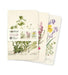 Royal Botanic Garden Edinburgh Set of 3 Mini Notebooks