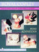 Royal Copley: Identification and Price Guide (Schiffer Book for Collectors