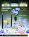 Fostoria Glass: The Elegant And Master-etchings (Schiffer Book for Collectors