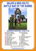 Major & Mrs Holt's Battle Map of The Somme (Map)