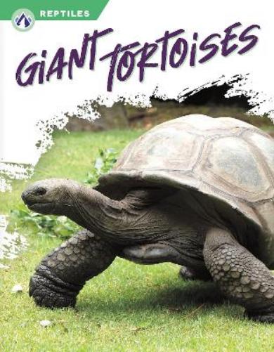 Giant Tortoises (Reptiles