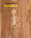 Alastair Gordon – Quodlibet