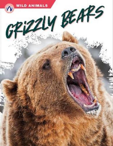 Grizzly Bears (Wild Animals