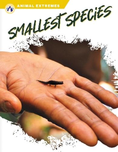 Smallest Species (Animal Extremes
