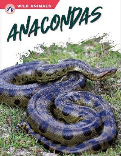 Anacondas (Wild Animals