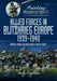 Painting Wargaming Figures: Allied Forces in Blitzkrieg Europe, 1939 1940