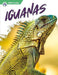 Iguanas