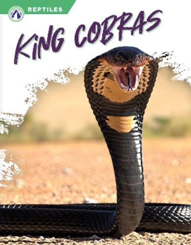 King Cobras (Reptiles
