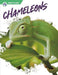 Chameleons