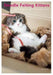 Needle Felted Kittens