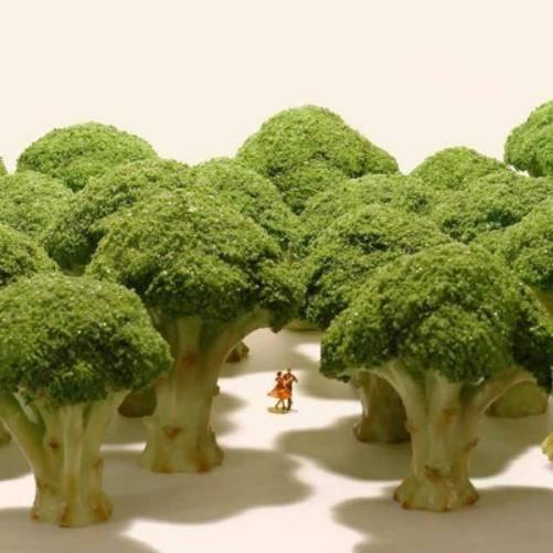Small Wonders
