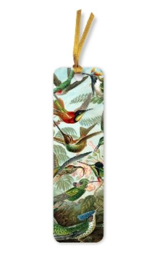 Ernst Haeckel: Hummingbirds Bookmarks (pack of 10