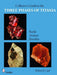 Collector's Guide to the Three Phases of Titania: Rutile, Anatase, and Brookite