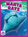 Manta Rays