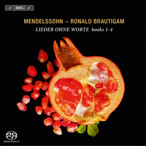 Mendelssohn/Ronald Brautigam: Lieder Ohne Worte Books 1-4