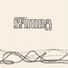 Estudando O Samba