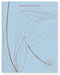 Carnets