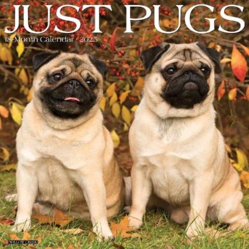 CAL 25 PUGS 2025 WALL