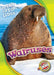 Walruses