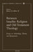 Between Israelite Religion and Old Testament Theology