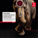 Saint-Saens: Carnival of the Animals