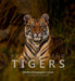 Remembering Tigers: 9 (Remembering Wildlife