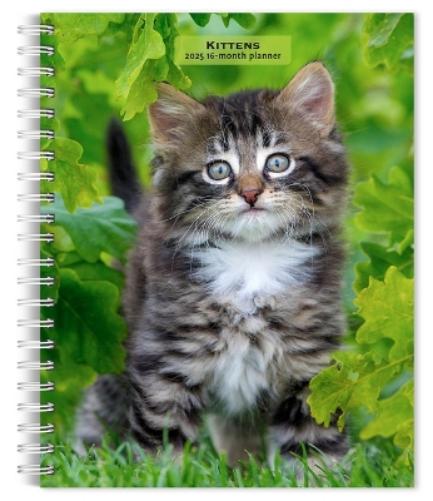 Kittens 2025 6 X 7.75 Inch Spiral-Bound Wire-O Weekly Engagement Planner Calendar New Full-Color Image Every Week