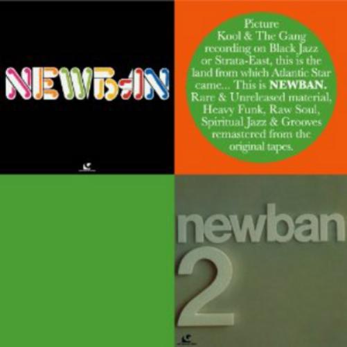 Newban and Newban 2