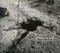 Stanley Greene: Plaie A Vif (French edition)