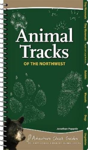Animal Tracks of the Northwest