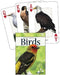 Birds of the Northwest Playing Cards (Nature's Wild Cards
