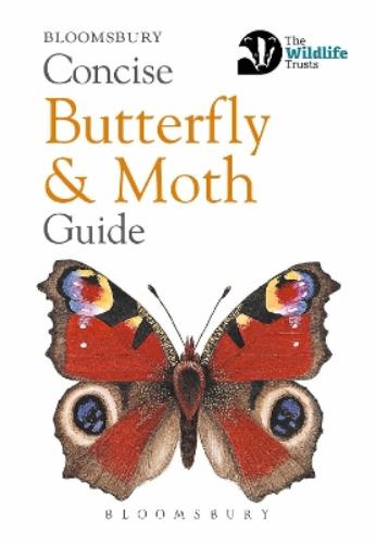 Concise Butterfly and Moth Guide