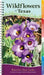 Wildflowers of Texas: Your Way to Easily Identify Wildflowers (Adventure Quick Guides