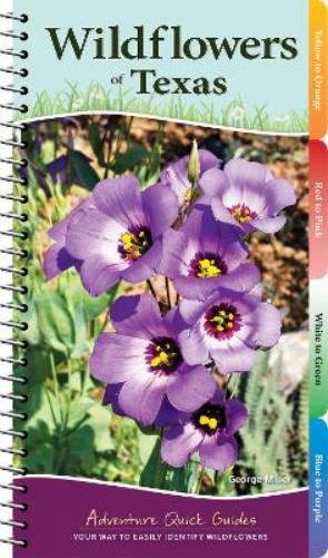 Wildflowers of Texas: Your Way to Easily Identify Wildflowers (Adventure Quick Guides