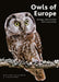 Owls of Europe