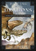Dancing with Dragons