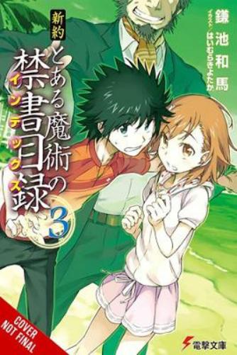 A Certain Magical Index NT, Vol. 3 (light novel) (CERTAIN MAGICAL INDEX NT SC NOVEL