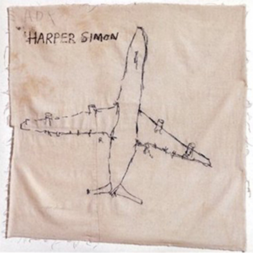 Harper Simon