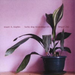 Lucky Dog Recordings 03-04