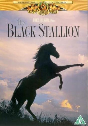 The Black Stallion