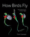How Birds Fly