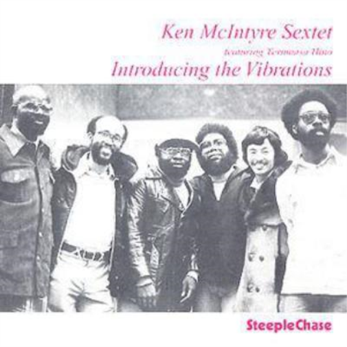 Introducing The Vibrations