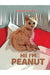 Hi! I'm Peanut